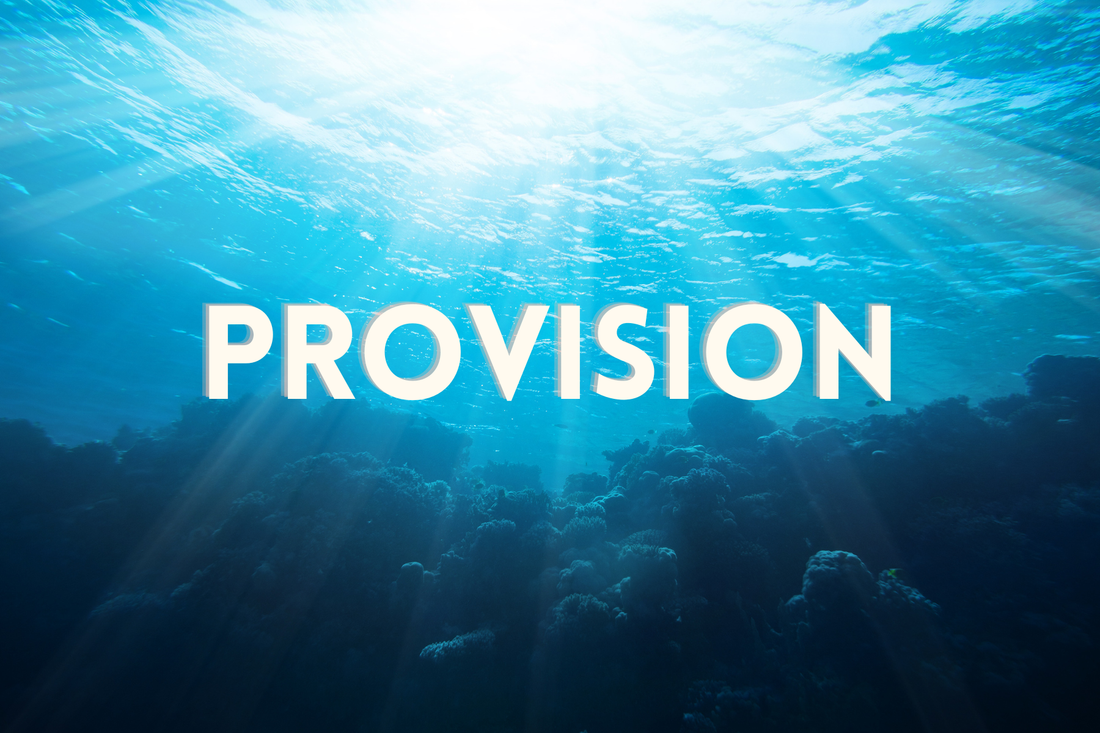 January 2026 - Financial Provisions & Blessings