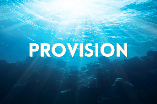 January 2026 - Financial Provisions & Blessings