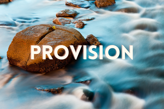 November 2025 - Financial Provisions & Blessings