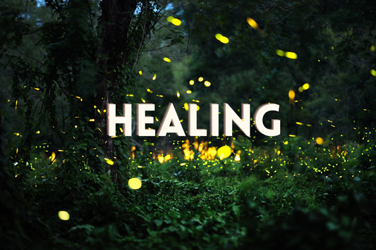 November 2025 - Physical & Spiritual Blessings