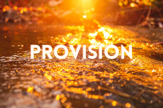 December 2025 - Financial Provisions and Blessings