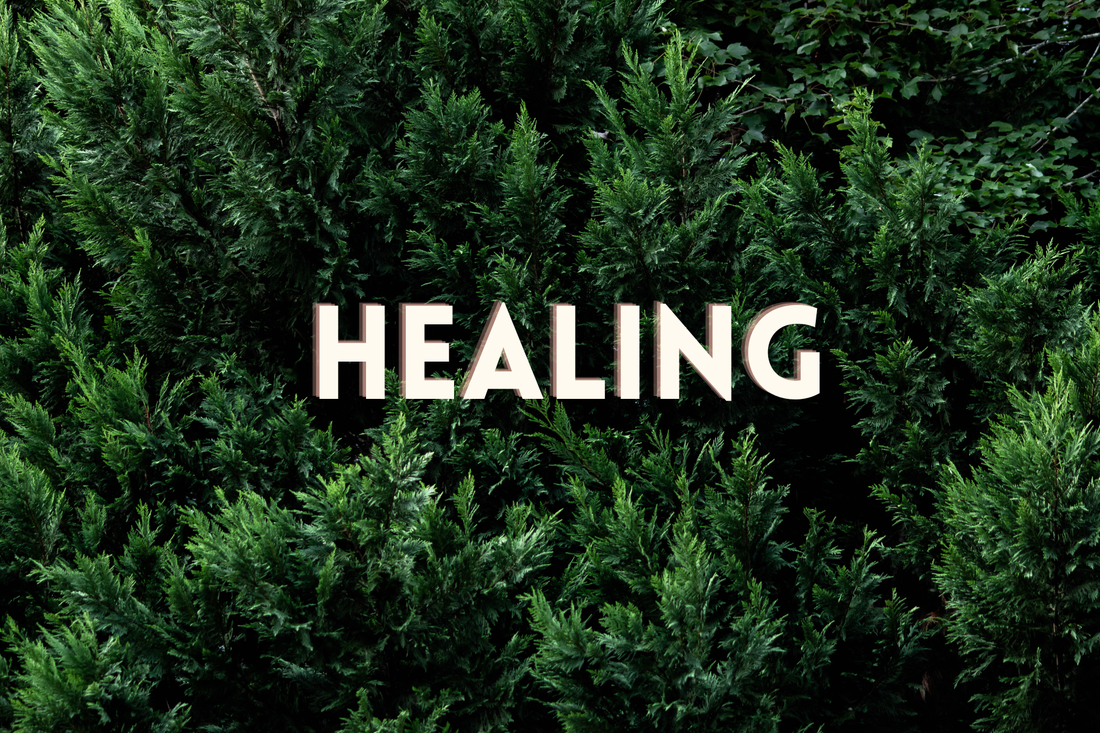 December 2025 - Physical & Spiritual Blessings