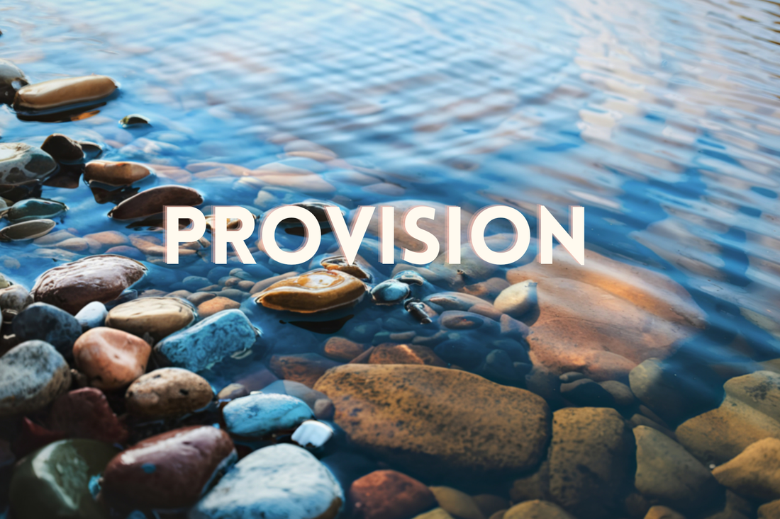 February 2026 - Financial Provisions & Blessings