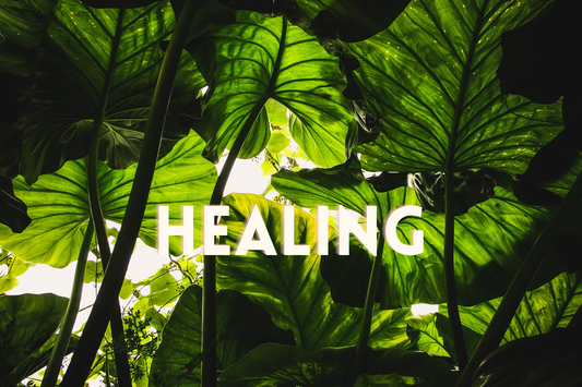 April 2024 - Physical & Spiritual Blessings