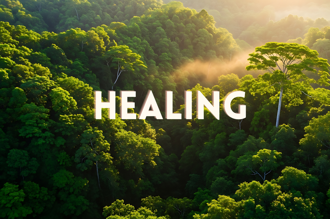 March 2026 - Physical & Spiritual Blessings