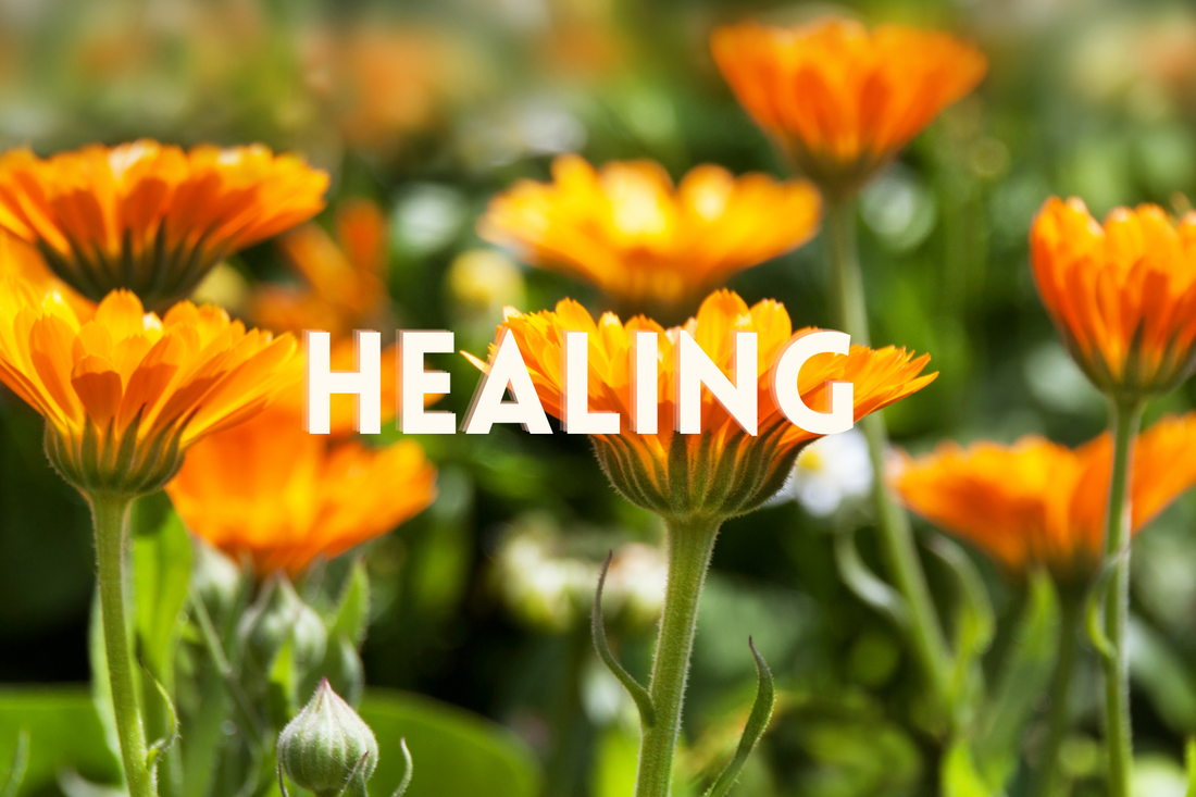 September 2023 - Physical & Spiritual Blessings