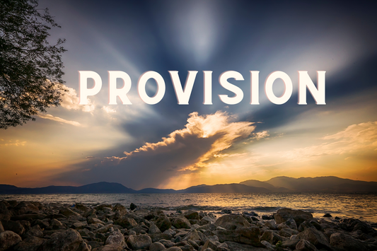 November 2022 - Financial Provisions & Achievements