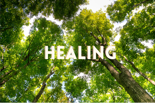 February 2023 - Physical & Spiritual Blessings