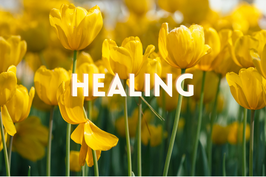 November 2023 - Physical & Spiritual Blessings