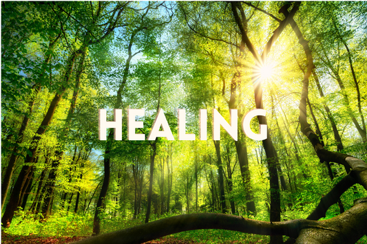 July 2023 - Physical & Spiritual Blessings