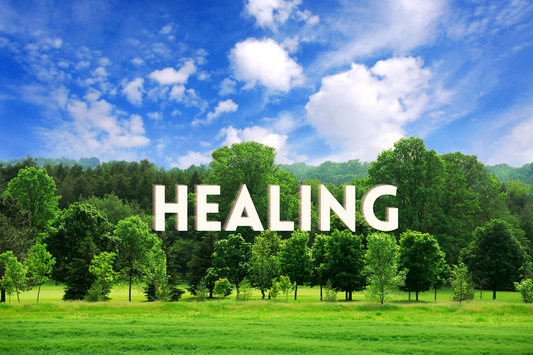 August 2023 - Physical & Spiritual Blessings